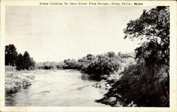 Scene Looking Up Saco River From Bridge Steep Falls, ME Postcard Postcard