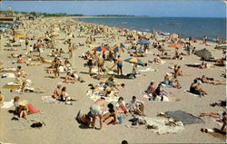 Beach Scene Postcard Postcard