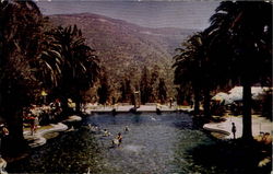 Swimming Pool At Arrowhead Hot Springs Hotel San Bernardino, CA Postcard Postcard