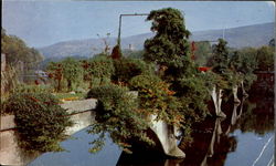 The Bridge Of Flowers, Mohawk Trail Postcard