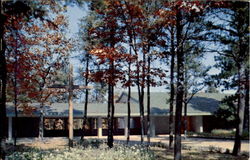 Shrine In The Northwoods Postcard