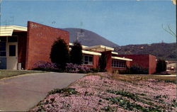 Palomar College Postcard