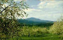 Mt. Ascutney Postcard