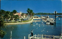 Ozona Harbor Postcard