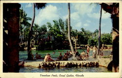 Venetian Pools Coral Gables, FL Postcard Postcard
