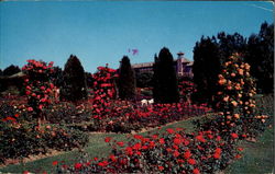 Hershey Pennsylvania Postcard Postcard