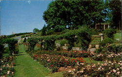 A Portion Of Hershey Postcard