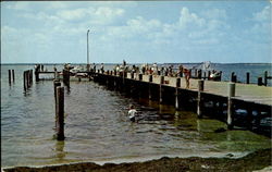 Municipal Fishing And Crabbing Pier Barnegat Bay, NJ Postcard Postcard