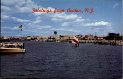 Greetings From Avalon Postcard