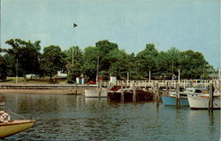Branford Yacht Club Postcard