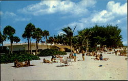Manatee County Public Beach Anna Maria Island, FL Postcard Postcard