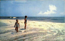 Long Island Ocean Playground Postcard