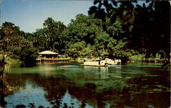 Rainbow Springs, U. S. Highway 41 Dunnellon, FL Postcard Postcard