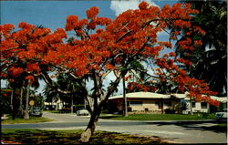 Stock #64459 Thumbnail