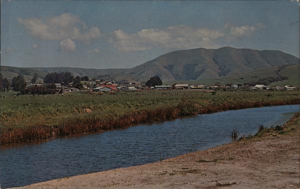 Paper Mill Creek, Point Reyes Inverness California
