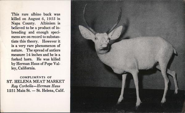 St. Helena Meat Market Saint Helena California