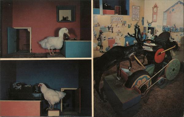 Santa's Village three animal acts: duck, chicken, reindeer Santa Cruz California