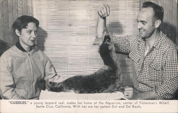 Cuddles Santa Cruz California