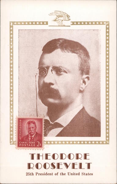 Theodore Roosevelt - 25th President of the United States