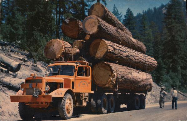 Loggin Truck Logging