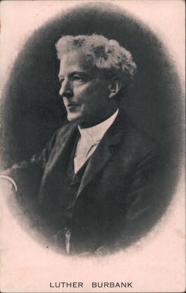 Luther Burbank Santa Rosa California