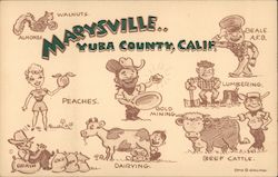 Marysville Yuba County, Calif. Signed Stan Q. Gelling California Postcard Postcard Postcard