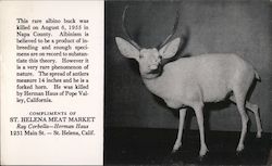 St. Helena Meat Market Postcard