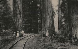 Stock #772013 Thumbnail