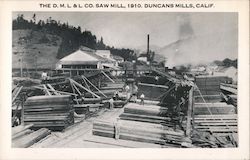 The D.M.L. and L. Co. Saw Mill Duncans Mills, CA Postcard Postcard Postcard