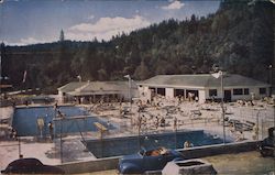 Forest Swimming Pool in the Heart of Santa Cruz Mountains Postcard