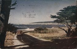Along Scenic 17-Mile Drive Monterey, CA Kodachrome Reproductions Postcard Postcard Postcard