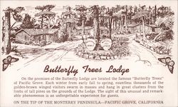 Butterfly Trees Lodge Pacific Grove, CA Postcard Postcard Postcard
