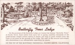 Butterfly Trees Lodge Postcard