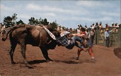 Rich Tozi hung up on Ray Kohrl's bull, "Iodine" Postcard