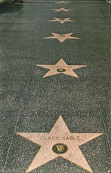Hollywood Walk of Fame Postcard