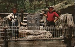 Petrified Forest, California Memorial Plaque Postcard