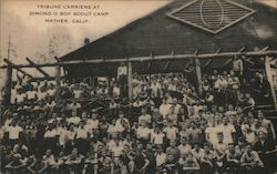Tribune Carriers at Dimond-O Boy Scout Camp Mather, CA Postcard Postcard Postcard