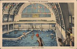 The Plunge on the Boardwalk Postcard