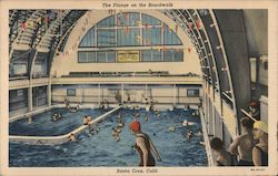 The Plunge on the Boardwalk Postcard