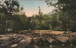 Big Sur Lodge Postcard