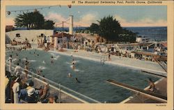 The Municipal Swimming Pool Postcard