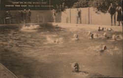 "Come on in-the water's fine" Singing trees camp, Palo Alto, California Postcard