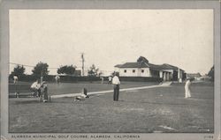 Alameda Municipal Golf Course California Postcard Postcard Postcard