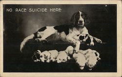 No Race Suicide Here /Mom dog with her puppies photo Theodore Roosevelt Postcard Postcard Postcard