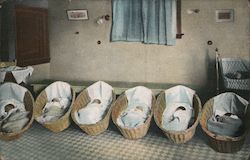 A Roosevelt Nursery Postcard