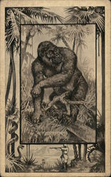 Picture of gorilla and a man hunting a snake Postcard