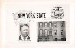 New York State New York City, Oct. 27 1858  Postcard