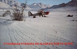 Ptarmigan Ptracks on Alaska's North Slope Aviators Postcard Postcard Postcard