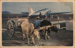 In Flight, Route of the Flagships - American Airlines Postcard