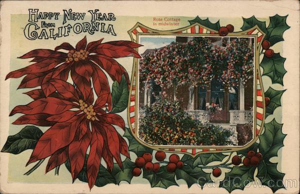 Happy New Year from California